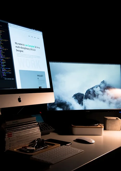 Custom website development